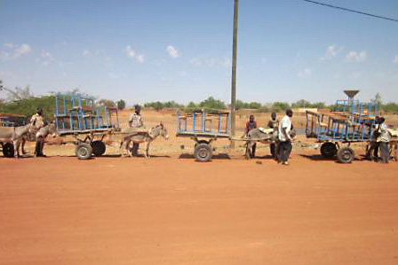 Djimerou2013 2